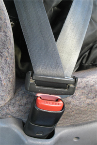 seatbelts.jpg