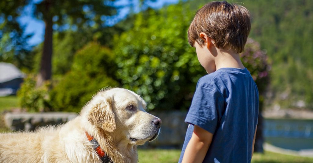 Dog and young child in Massachusetts