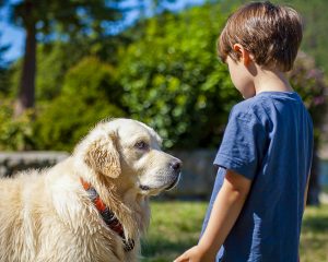 Child and dog in a Massachusetts backyard without supervision